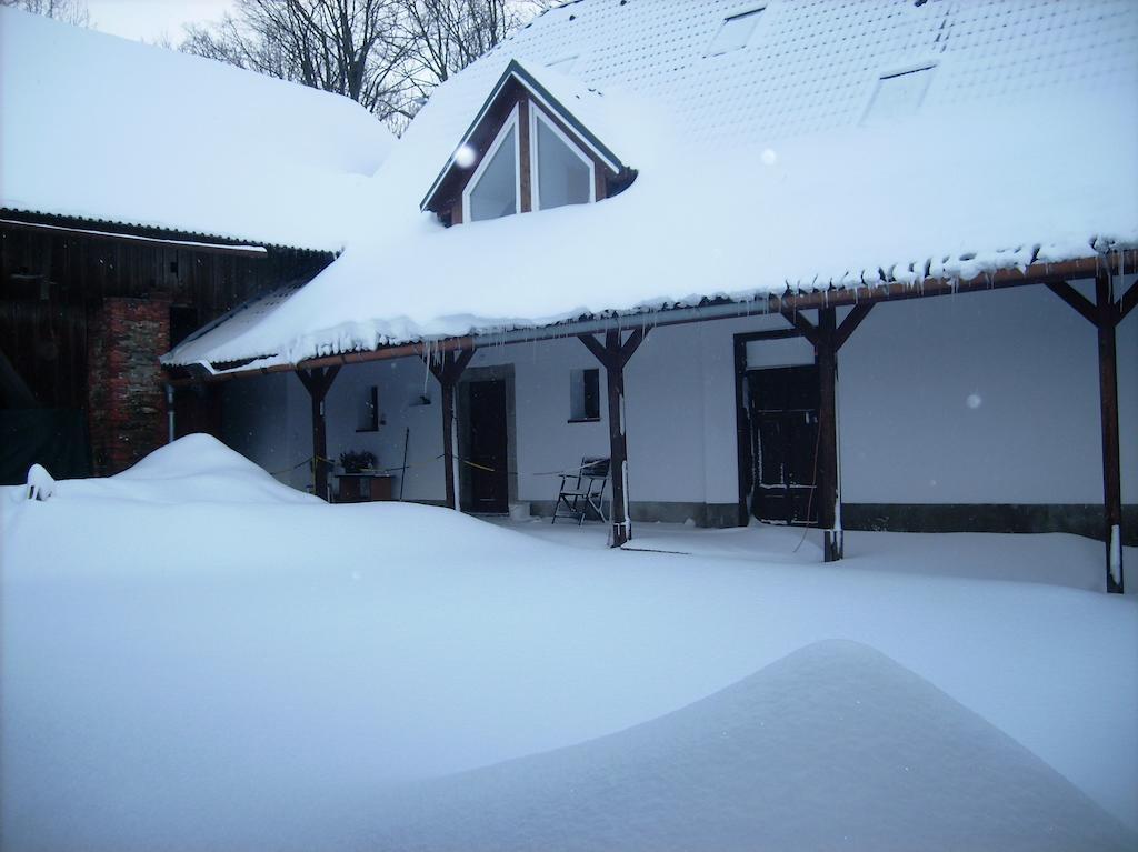 Penzion U Dvojice Hotel Nove Mesto na Morave Kültér fotó