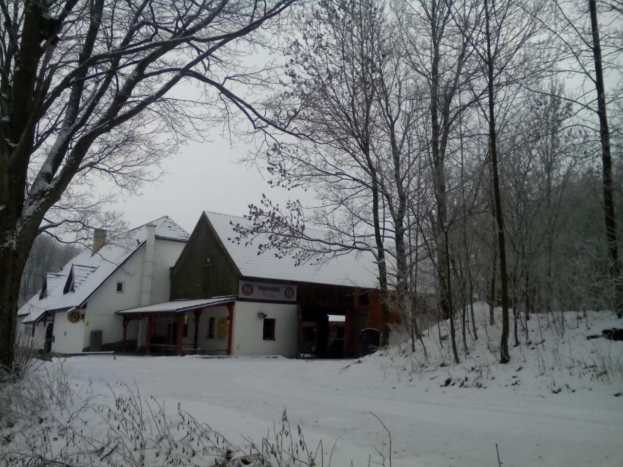 Penzion U Dvojice Hotel Nove Mesto na Morave Kültér fotó